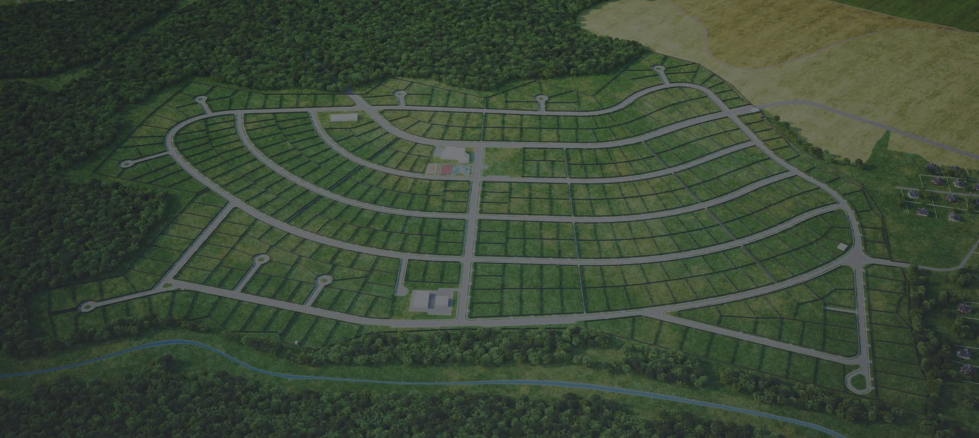 Section background